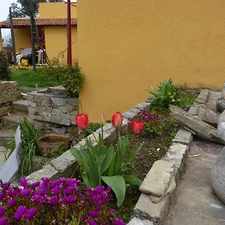 Casa Da Vinha Grande 4*