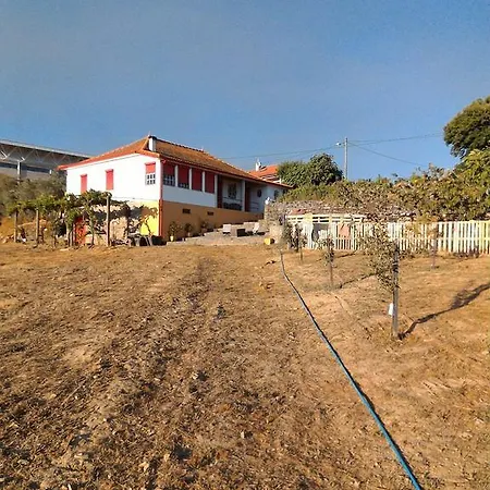 Casa Da Vinha Grande Guest house 4*
